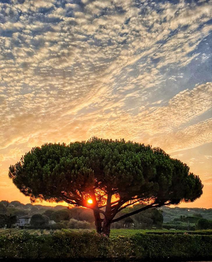 Villa Alba Saint Tropez Bagian luar foto