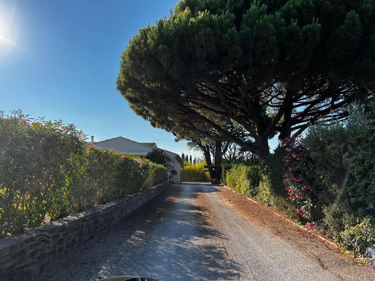 Villa Alba Saint Tropez Bagian luar foto